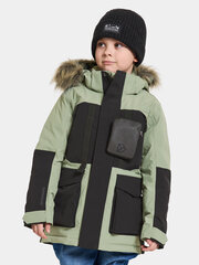 Детская зимняя парка Didriksons MAGNETIT, серо-черный цвет цена и информация | Зимняя одежда для детей | hansapost.ee