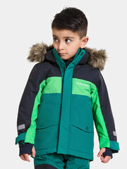 Детская зимняя парка Didriksons BJÄRVEN, зеленый/темно-синий цвет цена и информация | Зимняя одежда для детей | hansapost.ee