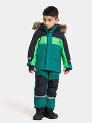 Детская зимняя парка Didriksons BJÄRVEN, зеленый/темно-синий цвет цена и информация | Didriksons Одежда, обувь для детей и младенцев | hansapost.ee