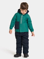 Детская зимняя куртка Didriksons RIO, зеленый цвет цена и информация | Зимняя одежда для детей | hansapost.ee