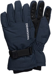 Детские зимние перчатки Didriksons BIGGLES, темно-синий цвет цена и информация | Didriksons Одежда, обувь для детей и младенцев | hansapost.ee