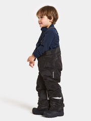 Детские светоотражающие зимние штаны Didriksons IDRE цена и информация | Зимняя одежда для детей | hansapost.ee