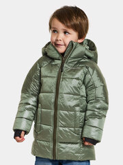 Детская зимняя куртка Didriksons ТАЙГАН, зеленый цвет цена и информация | Didriksons Одежда, обувь для детей и младенцев | hansapost.ee