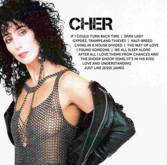 CD Cher Icon цена и информация | Виниловые пластинки, CD, DVD | hansapost.ee