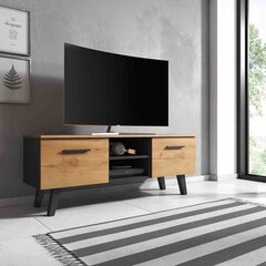 ТВ столик Hakano Lacus, коричневый/черный цвет цена и информация | Тумбы под телевизор | hansapost.ee