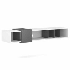 ТВ столик Hakano Leo, белый/серый цвет цена и информация | Тумбы под телевизор | hansapost.ee