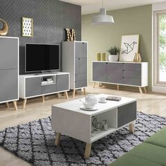 ТВ столик Hakano Creo, белый/серый цвет цена и информация | Тумбы под телевизор | hansapost.ee