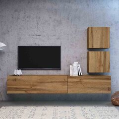 ТВ столик Hakano Muza, коричневый цвет цена и информация | Тумбы под телевизор | hansapost.ee