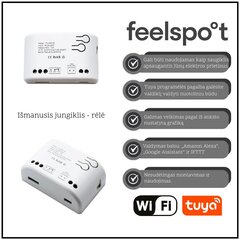 Смарт выключатель - реле Feelspot FS-SRS02W RF, Wi-fi, Tuya цена и информация | Выключатели, розетки | hansapost.ee