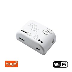 Смарт выключатель - реле Feelspot FS-SRS02W RF, Wi-fi, Tuya цена и информация | Выключатели, розетки | hansapost.ee