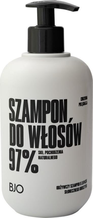 Toitev šampoon päikeselise merevaigu lõhnaga Bjo, 500ml цена и информация | Šampoonid | hansapost.ee