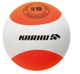 Бейсбольный мяч Karhu 510 цена и информация | Бейсбол | hansapost.ee