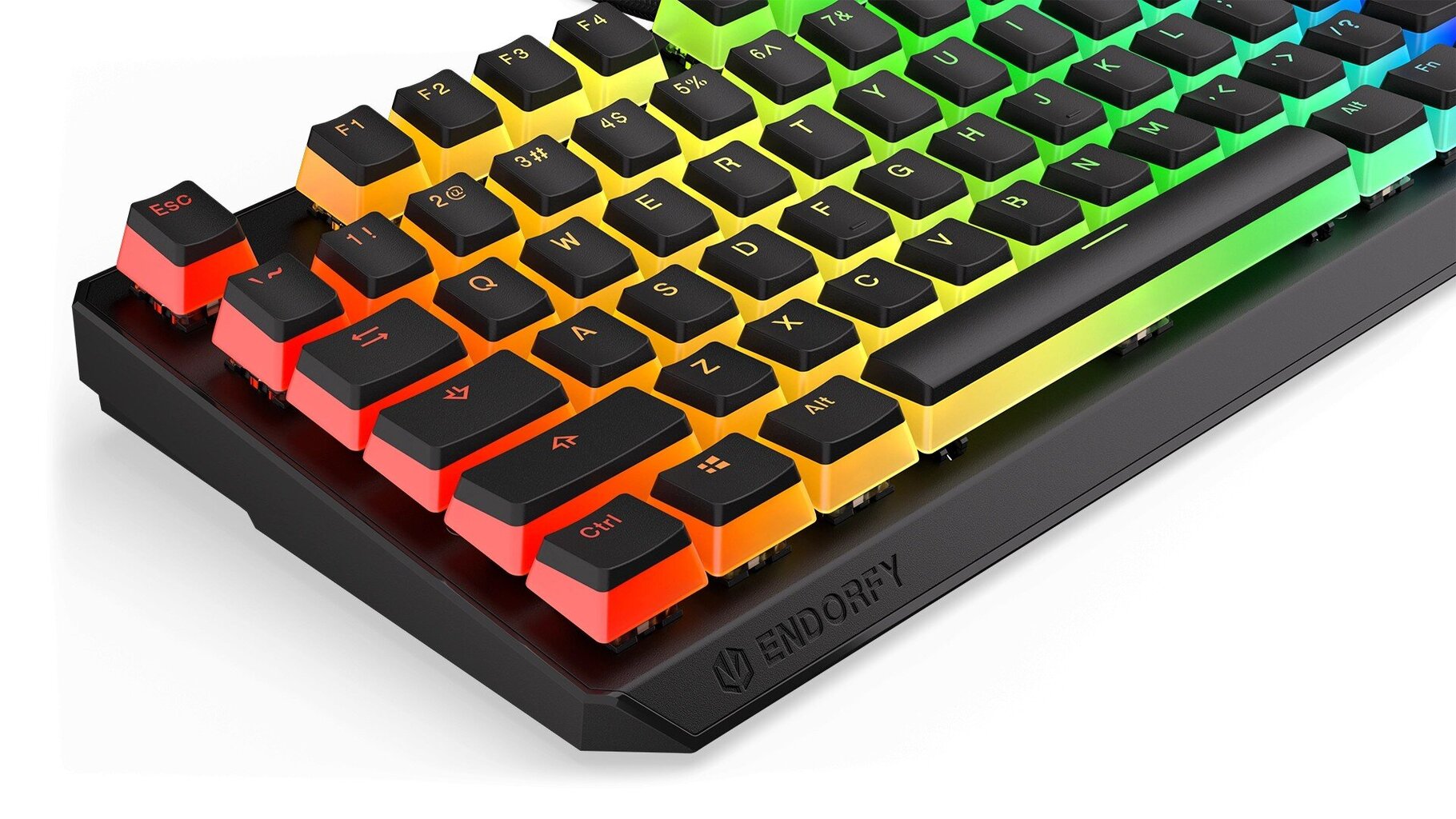 Endorfy Thock TKL беспроводной механическая клавиатура с подсветкой RGB  (US, Kailh Red Switch) цена | hansapost.ee