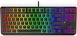 Endorfy Thock TKL juhtmevaba mehaaniline RGB klaviatuur (US, Kailh Red Switch) hind ja info | Klaviatuurid | hansapost.ee