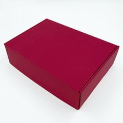 Подарочная коробка Premium, 305x215x85 мм цена и информация | Подарочные упаковки | hansapost.ee