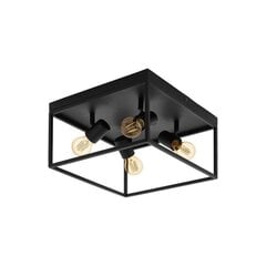 Eglo laevalgusti 98334 price and information | Ceiling lamps | hansapost.ee