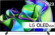 LG OLED evo OLED42C31LA.AEU hind ja info | Televiisorid | hansapost.ee