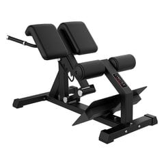 Тренировочная скамья Gymstick Back Bench Pro цена и информация | Скамьи для тренировок | hansapost.ee