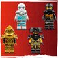 71791 LEGO® NINJAGO Zane draakoni jõul sõitev võidusõiduauto цена и информация | Klotsid ja konstruktorid | hansapost.ee