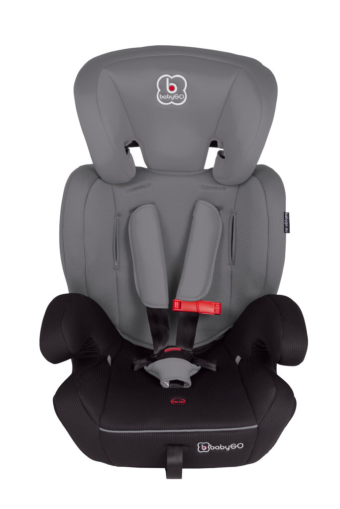 Turvatool BabyGo - Protect, 9-36 kg hind ja info | Turvatoolid ja turvahällid | hansapost.ee