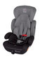 Turvatool BabyGo - Protect, 9-36 kg hind ja info | Turvatoolid ja turvahällid | hansapost.ee