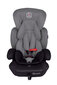 Turvatool BabyGo - Protect, 9-36 kg hind ja info | Turvatoolid ja turvahällid | hansapost.ee