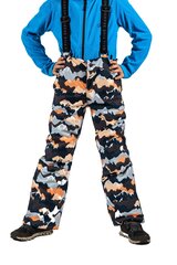 Детские лыжные штаны Five Seasons BILLIE JR, разные цвета цена и информация | Зимняя одежда для детей | hansapost.ee