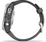 Garmin fēnix® 7S Pro Solar Silver/Graphite 42mm hind ja info | Nutikellad, laste nutikellad | hansapost.ee