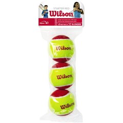 Välitennisepallid Wilson Starter easy, 3 tk. hind ja info | Välitennise tooted | hansapost.ee