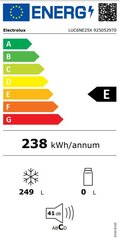 Electrolux LUC6NE25X цена и информация | Морозильные камеры и морозильные лари | hansapost.ee