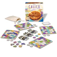 Настольная игра Calico Nordic цена и информация | Настольные игры | hansapost.ee