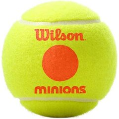 Теннисные мячи Wilson Starter Orange Minions 3шт. цена и информация | Товары для большого тенниса | hansapost.ee