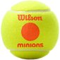Välitennisepallid Wilson Starter Orange Minions 3 tk. цена и информация | Välitennise tooted | hansapost.ee