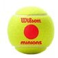 Välitennisepallid Wilson Starter Red Minions 3 tk. hind ja info | Välitennise tooted | hansapost.ee