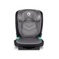 Turvatool Lionelo Neal I-Size Isofix, 15-36 kg, Grey Stone цена и информация | Turvatoolid ja turvahällid | hansapost.ee