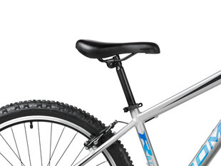 Jalgratas Romet Rambler R6.1 26" 2023, hall цена и информация | Велосипеды | hansapost.ee