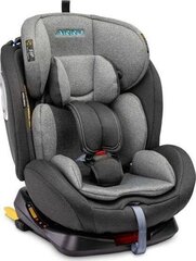 Caretero кресло безопасности Arro, 0-36 кг. серый цвет цена и информация | Автокресла | hansapost.ee