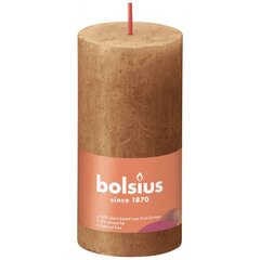 Bolsius sammasküünlad Shine 8 tk 100x50 mm vürtsipruun цена и информация | Подсвечники, свечи | hansapost.ee