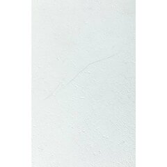 Grosfillex seinakatteplaat "Gx Wall+", 11 tk, kivi, 30 x 60 cm, valge цена и информация | Элементы декора для стен, потолка | hansapost.ee
