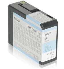 Epson ink cartridge photo cyan for Stylu цена и информация | Картриджи и тонеры | hansapost.ee