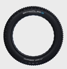 Schwalbe jalgratta rehv Jumbo Jim Folding Fatbike 26x4.00" hind ja info | Jalgratta sisekummid ja rehvid | hansapost.ee