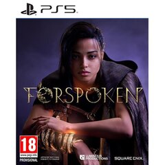 Игра Forspoken Playstation 5 PS5  цена и информация | Компьютерные игры | hansapost.ee
