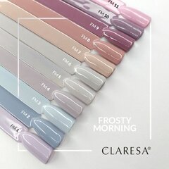 Стойкий гибридный гель лак для ногтей CLARESA Frosty Morning 3, 5 г цена и информация | Лаки, укрепители для ногтей | hansapost.ee