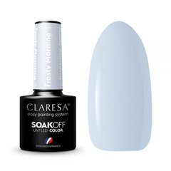 Стойкий гибридный гель лак для ногтей CLARESA Frosty Morning 3, 5 г цена и информация | Лаки для ногтей, укрепители для ногтей | hansapost.ee