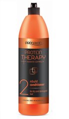 Juuksemask keratiini ja aaloeekstraktiga kuivadele ja kahjustatud juustele Chantal Prosalon Protein Therapy Keratin Complex 2 1000 ml цена и информация | Бальзамы | hansapost.ee