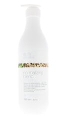 Normaliseeriv šampoon Milk shake scalpcare vette hoofdhuid, 1000 ml hind ja info | Šampoonid | hansapost.ee