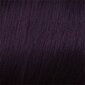 Juuksevärv Mood Color Cream 6.7 Dark Violet Blonde, 100 ml. цена и информация | Juuksevärvid | hansapost.ee