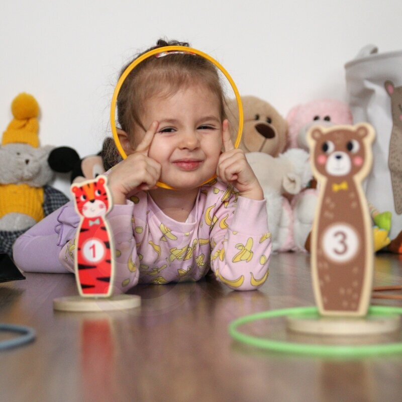 TOOKY TOY Puidust arkaadmng Toss Animals 15 el. hind ja info | Arendavad laste mänguasjad | hansapost.ee