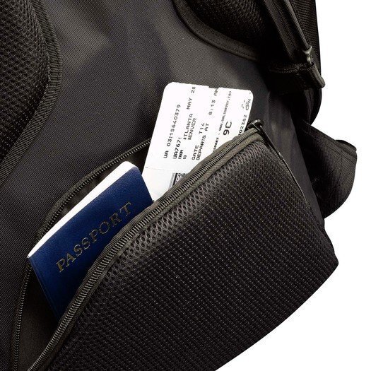 Case Logic RBP-217 Professional Backpack 17 - BLACK цена и информация | Sülearvutikotid | hansapost.ee