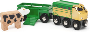 Brio mängurong 36040 hind ja info | Mänguasjad poistele | hansapost.ee